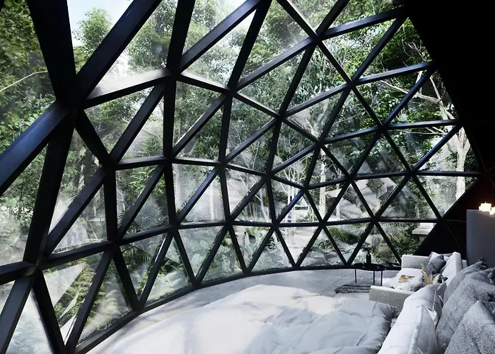 Glass House Camping Puerto Morelos