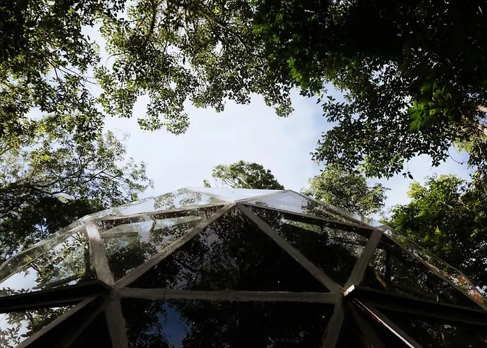 Camping Glass House Puerto Morelos