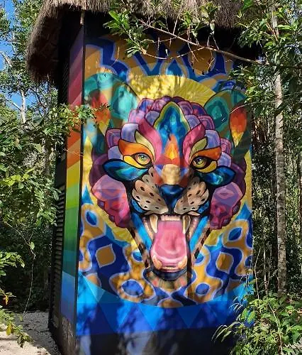 Glass House Camping Puerto Morelos