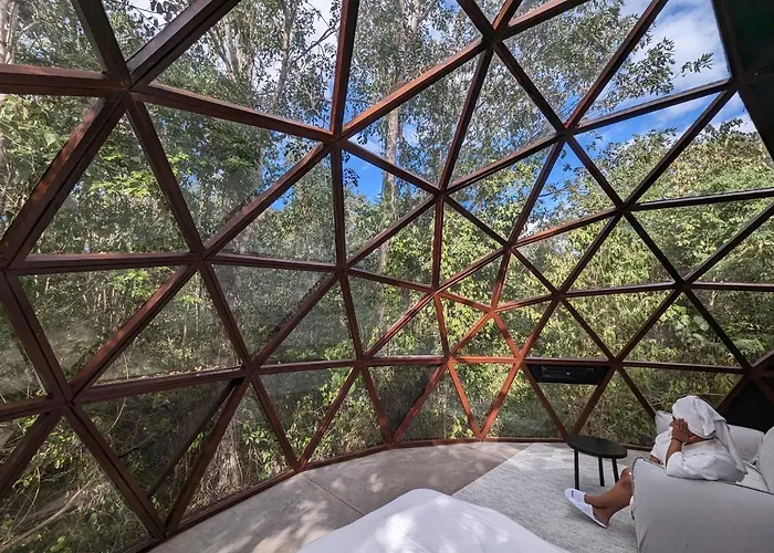 Glass House Camping