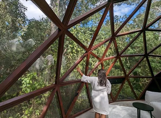 Glass House Camping