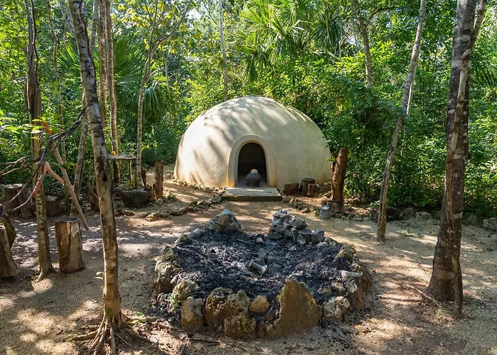 Glass House Camping