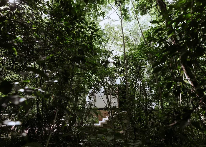 Glass House Camping